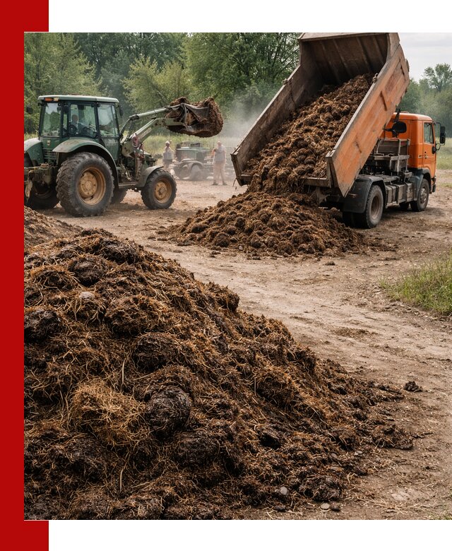 Доставка навоза самосвалами в Саяногорске для сельхозпотребностей